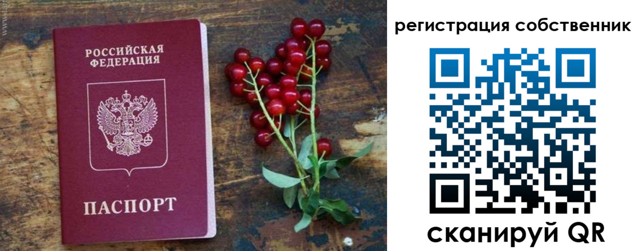 регистрация для дет. сада в Сосновоборске